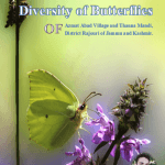 Diversity of Butterflies (Research eBook) English 2020